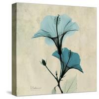 Hibiscus Moment-Albert Koetsier-Stretched Canvas