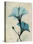 Hibiscus Moments-Albert Koetsier-Stretched Canvas