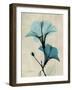 Hibiscus Moments-Albert Koetsier-Framed Art Print