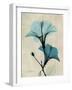 Hibiscus Moments-Albert Koetsier-Framed Art Print