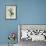 Hibiscus Moments-Albert Koetsier-Framed Art Print displayed on a wall