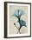 Hibiscus Moments-Albert Koetsier-Framed Art Print