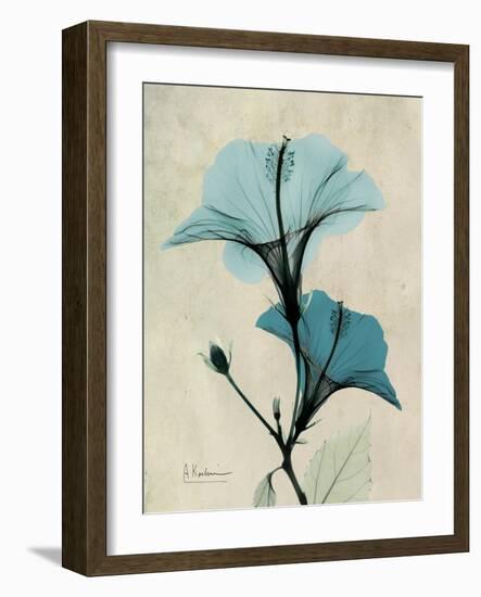 Hibiscus Moments-Albert Koetsier-Framed Art Print