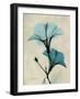 Hibiscus Moments-Albert Koetsier-Framed Art Print