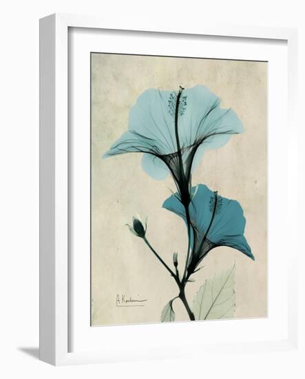 Hibiscus Moments-Albert Koetsier-Framed Art Print