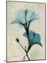 Hibiscus Moments-Albert Koetsier-Mounted Art Print