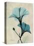Hibiscus Moments-Albert Koetsier-Stretched Canvas