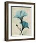 Hibiscus Moments-Albert Koetsier-Framed Premium Giclee Print