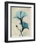 Hibiscus Moments-Albert Koetsier-Framed Premium Giclee Print