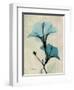 Hibiscus Moments-Albert Koetsier-Framed Premium Giclee Print