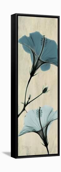 Hibiscus Moments-Albert Koetsier-Framed Stretched Canvas