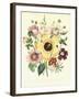 Hibiscus Moscheutos and Lavatera Treloba-null-Framed Giclee Print