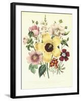 Hibiscus Moscheutos and Lavatera Treloba-null-Framed Giclee Print