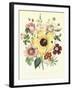 Hibiscus Moscheutos and Lavatera Treloba-null-Framed Giclee Print