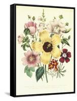 Hibiscus Moscheutos and Lavatera Treloba-null-Framed Stretched Canvas