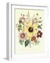 Hibiscus Moscheutos and Lavatera Treloba-null-Framed Giclee Print