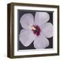 Hibiscus Portrait I-Tim OToole-Framed Art Print