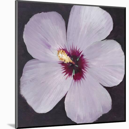 Hibiscus Portrait I-Tim OToole-Mounted Art Print