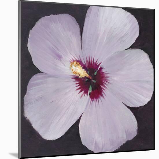 Hibiscus Portrait I-Tim OToole-Mounted Art Print