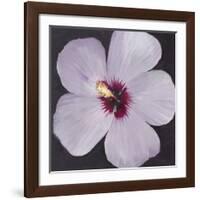 Hibiscus Portrait I-Tim OToole-Framed Art Print