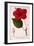 Hibiscus Rosa-Sinensis, 1836-Pancrace Bessa-Framed Premium Giclee Print