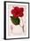 Hibiscus Rosa-Sinensis, 1836-Pancrace Bessa-Framed Giclee Print