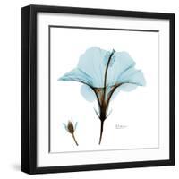 Hibiscus Wave-Albert Koetsier-Framed Art Print