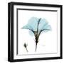 Hibiscus Wave-Albert Koetsier-Framed Art Print