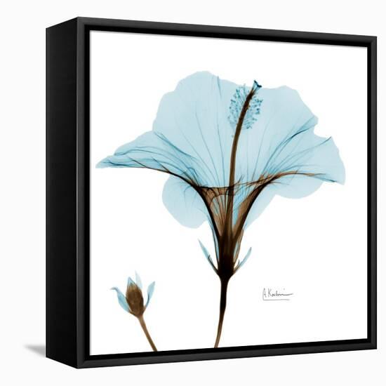 Hibiscus Wave-Albert Koetsier-Framed Stretched Canvas