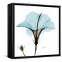 Hibiscus Wave-Albert Koetsier-Framed Stretched Canvas