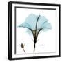 Hibiscus Wave-Albert Koetsier-Framed Art Print