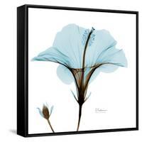 Hibiscus Wave-Albert Koetsier-Framed Stretched Canvas