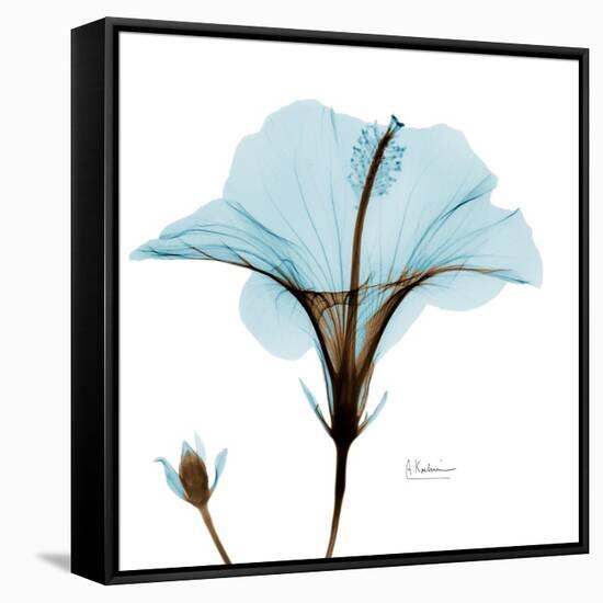 Hibiscus Wave-Albert Koetsier-Framed Stretched Canvas