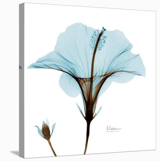 Hibiscus Wave-Albert Koetsier-Stretched Canvas