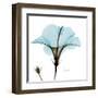 Hibiscus Wave-Albert Koetsier-Framed Art Print