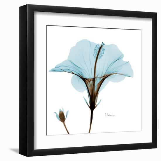 Hibiscus Wave-Albert Koetsier-Framed Art Print