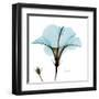 Hibiscus Wave-Albert Koetsier-Framed Art Print