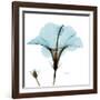 Hibiscus Wave-Albert Koetsier-Framed Art Print