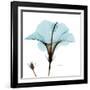 Hibiscus Wave-Albert Koetsier-Framed Art Print