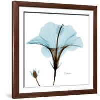 Hibiscus Wave-Albert Koetsier-Framed Art Print