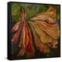 Hibiscus Wilt-jocasta shakespeare-Framed Stretched Canvas