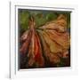 Hibiscus Wilt-jocasta shakespeare-Framed Giclee Print