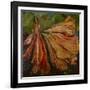 Hibiscus Wilt-jocasta shakespeare-Framed Giclee Print