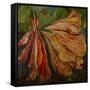 Hibiscus Wilt-jocasta shakespeare-Framed Stretched Canvas