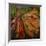 Hibiscus Wilt-jocasta shakespeare-Framed Giclee Print