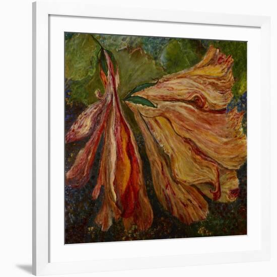 Hibiscus Wilt-jocasta shakespeare-Framed Giclee Print