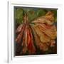 Hibiscus Wilt-jocasta shakespeare-Framed Giclee Print