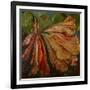 Hibiscus Wilt-jocasta shakespeare-Framed Giclee Print