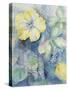 Hibiscus, Yellow-Karen Armitage-Stretched Canvas