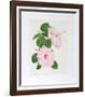 Hibiscus-Marion Sheehan-Framed Collectable Print